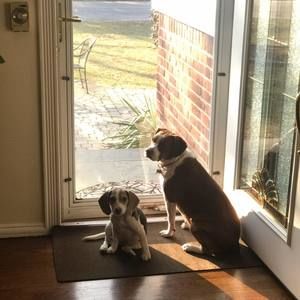 Meet your Posher, Donna